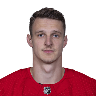 Photo of Dominik Kubalik